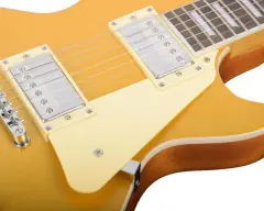 KAYSEN K-EG9 GD Elektro Gitar | LP Kasa HH Manyetik