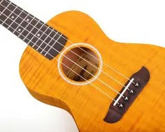 Kaysen U3-24GD Concert Ukulele
