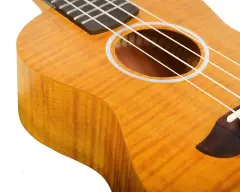 Kaysen U3-24GD Concert Ukulele