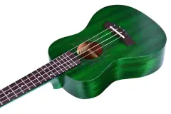 Kaysen U1-24GN Concert Ukulele