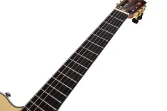 Tayste CG-100EQ Natural Silent Elektro Klasik Gitar