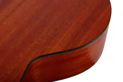 Tayste TS21-40 Akustik Gitar