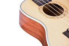 Tayste TUK210-24 Concert Ukulele