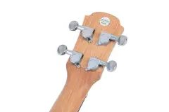 Tayste TUK200-24 Concert Ukulele