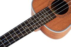 Tayste TUK200-24 Concert Ukulele